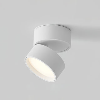 Modern Adjustable Ceiling Spotlight