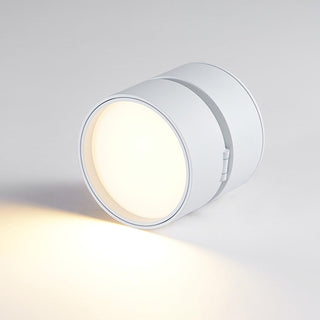 Modern Adjustable Ceiling Spotlight