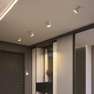 Modern Adjustable Ceiling Spotlight