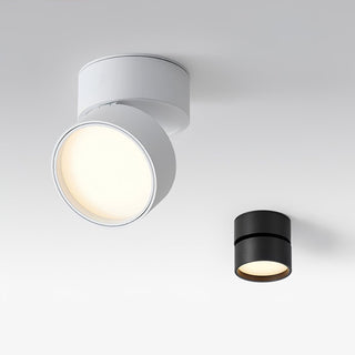 Modern Adjustable Ceiling Spotlight