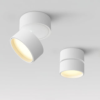 Modern Adjustable Ceiling Spotlight
