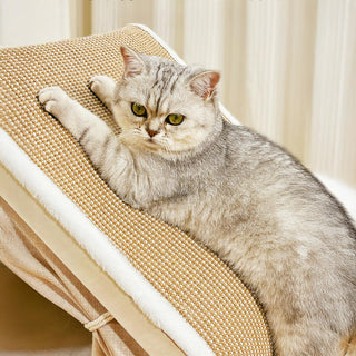 Scratch-Resistant Roof & Soft Sleeping Tent House