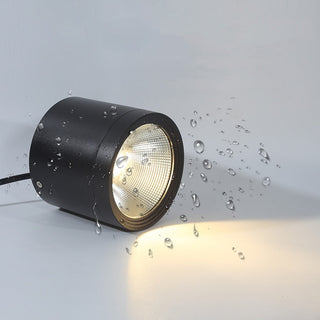 IP65 Waterproof LED Flush Mount Outdoor Light