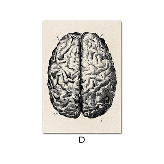 Human Anatomy Artwork Canvas