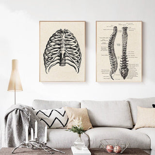 Human Anatomy Artwork Canvas