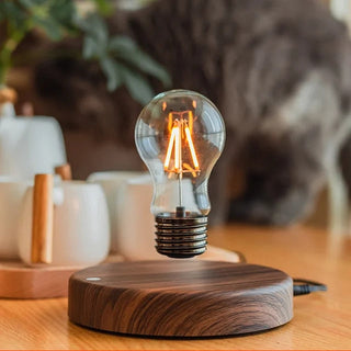 Floating Light Bulb Table lamp