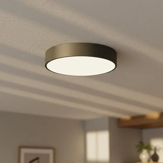 Minimalist Round LED Ceiling Light With Iron Frame