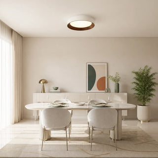 Frameless Round LED Ceiling Light