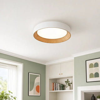 Frameless Round LED Ceiling Light