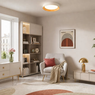 Frameless Round LED Ceiling Light