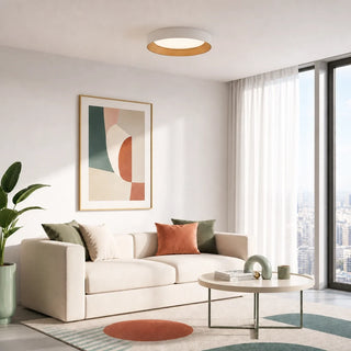 Frameless Round LED Ceiling Light