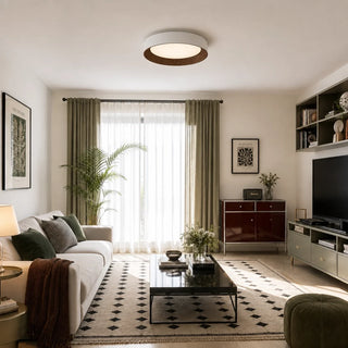 Frameless Round LED Ceiling Light