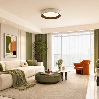 Frameless Round LED Ceiling Light