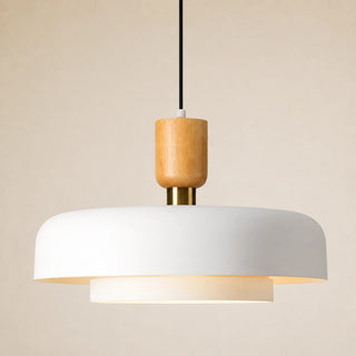 Modern Layered Pendant Lamp
