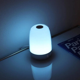 Wake Up Light Alarm Clock