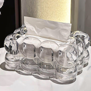 Sculptural Acrylic Tissue Box