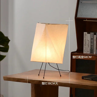 Japanese Rice Paper Sculptural Floor Lamp