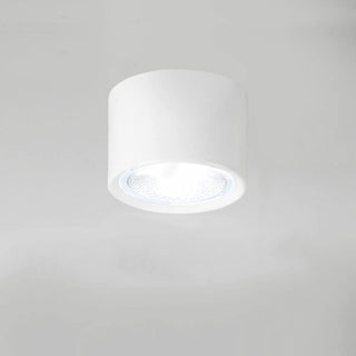 Cylinder Flush Mount Ceiling Light