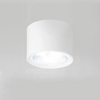 Cylinder Flush Mount Ceiling Light