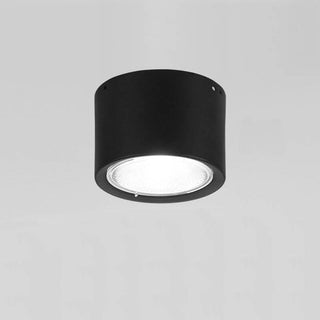Cylinder Flush Mount Ceiling Light