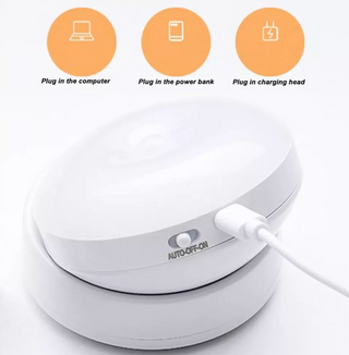 Rotatable Motion Sensor LED Wall Light
