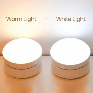 Rotatable Motion Sensor LED Wall Light