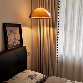 Amber Acrylic Dome Floor Lamp