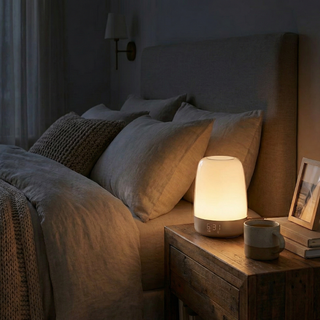 Wake Up Light Alarm Clock
