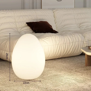 Modern Sculptural  Oval LED Floor Lamp