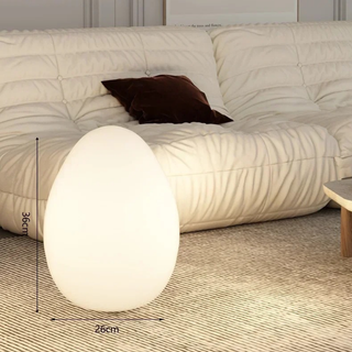 Modern Sculptural  Oval LED Floor Lamp