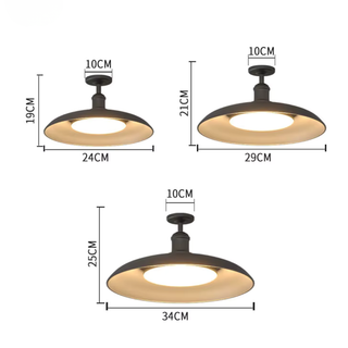 Black Round Semi-Flush Mount Outdoor Light