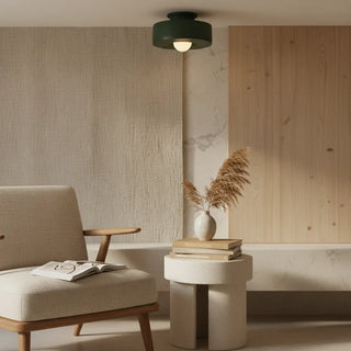 Round Resin Ceiling Light