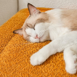 Soft Non-Slip Pet Mat