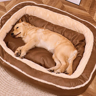 Large Orthopedic Dog Bed