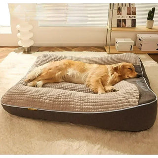 Luxury Velvet Orthopedic Dog Bed