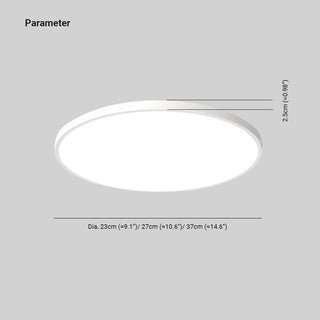Round Flush Mount Ceiling Light