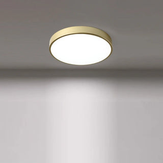 Minimalist Round LED Ceiling Light With Iron Frame