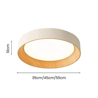 Frameless Round LED Ceiling Light