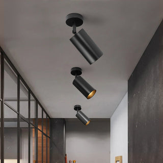 Minimalist Adjustable Spotlight