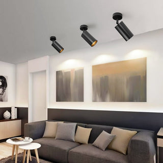 Minimalist Adjustable Spotlight