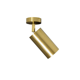 Minimalist Adjustable Spotlight