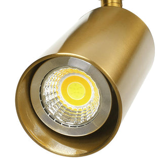 Minimalist Adjustable Spotlight