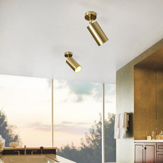 Minimalist Adjustable Spotlight