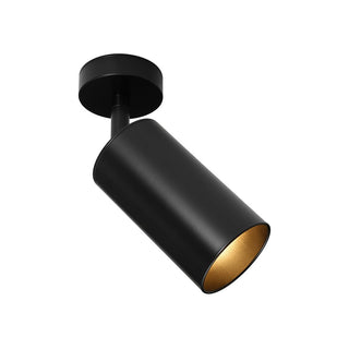 Minimalist Adjustable Spotlight