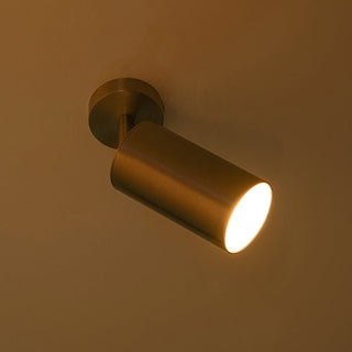 Minimalist Adjustable Spotlight