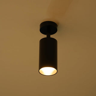 Minimalist Adjustable Spotlight