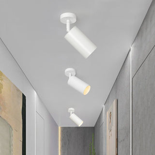 Minimalist Adjustable Spotlight