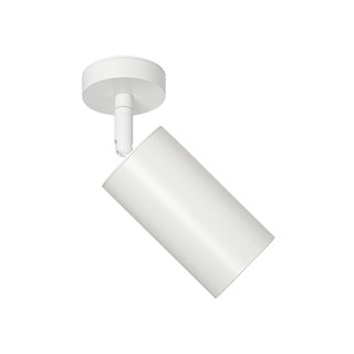Minimalist Adjustable Spotlight