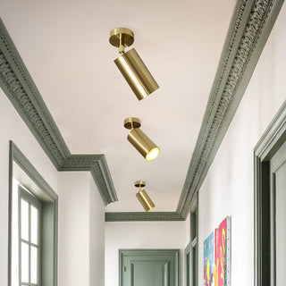 Minimalist Adjustable Spotlight