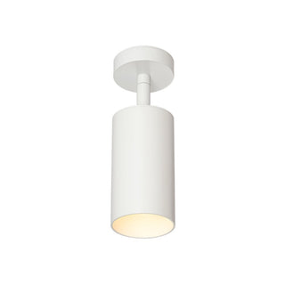 Minimalist Adjustable Spotlight